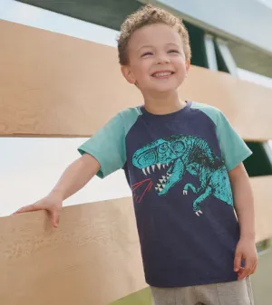 Boys T-Rex Raglan Tee